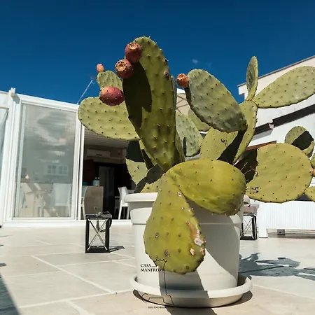 Casa Manfredi - Manfredi Homes&villas Frühstückspension 4*